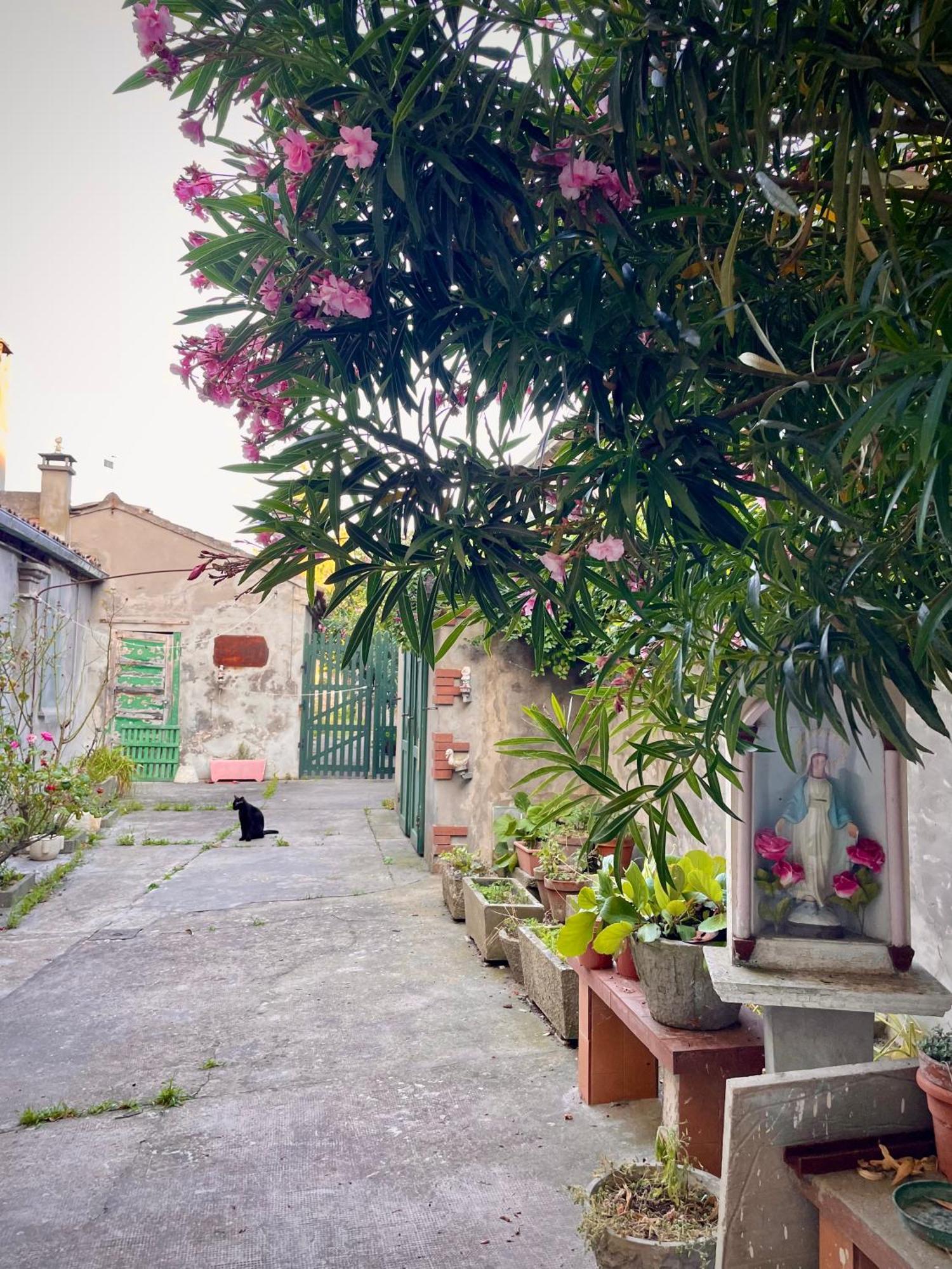 L'Encanto De Luna -Una Casa Autentica Comacchiese Комакио Екстериор снимка